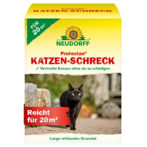 Katzen-Schreck