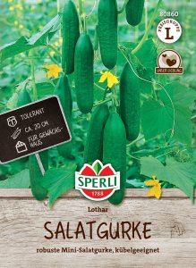 Salatgurke - Lothar - F1