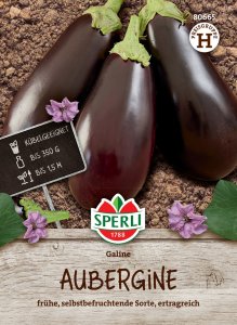 Aubergine - Galine - F1